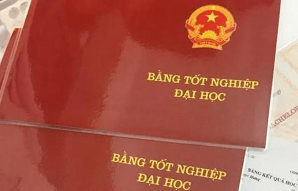 Làm Bằng Kinh Tế Đại Học Đà Nẵng Ở Đâu Thì Uy Tín Và Chất Lượng?