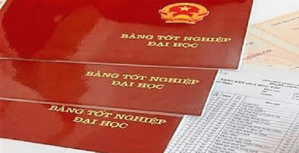 Làm Bằng Kinh Tế Đại Học Đà Nẵng Ở Đâu Thì Uy Tín Và Chất Lượng?