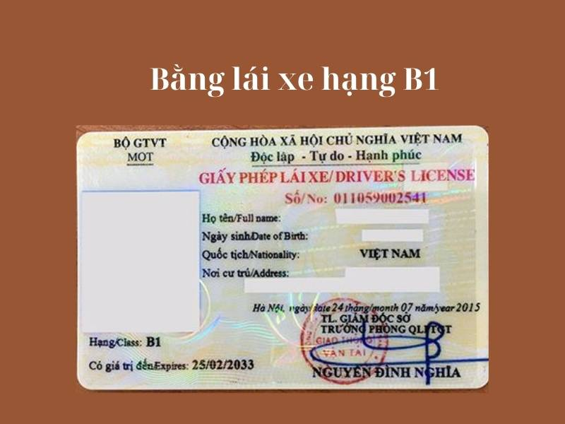 Các loại bằng lái ô tô hiện nay tại Việt Nam
