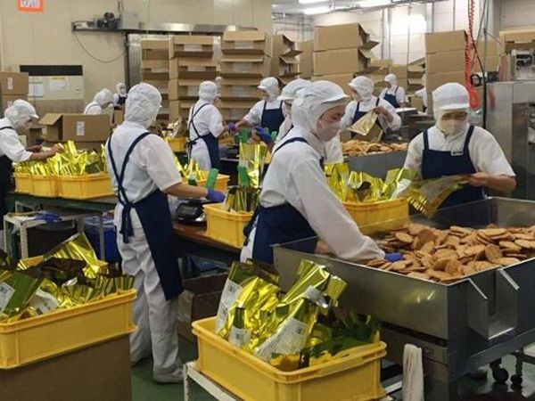 Những công việc cần bằng cấp 3 tại Hà Nội